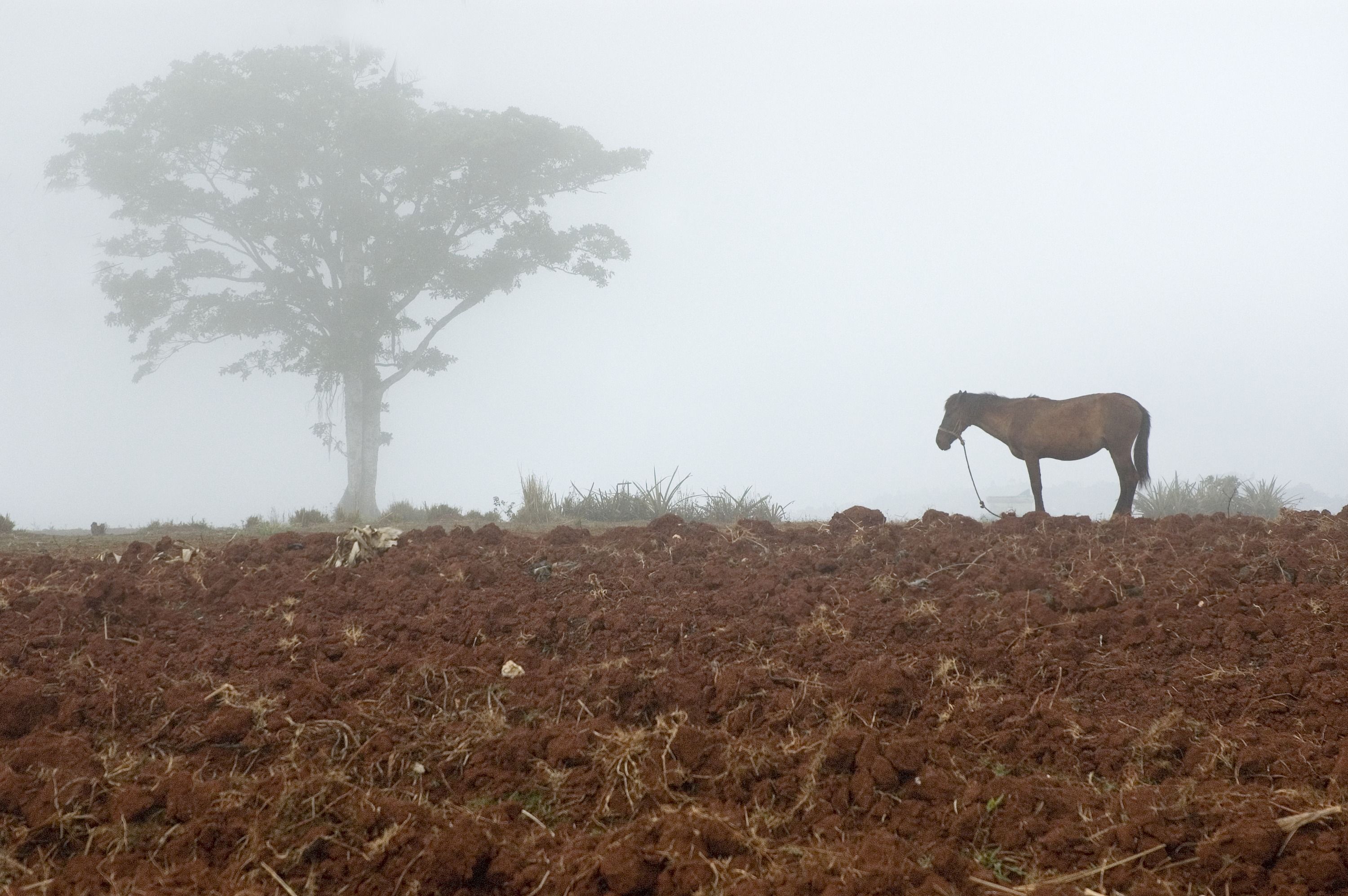 Photograph of Fondwa, Haiti, 2006, by Rebecca Sherman.
